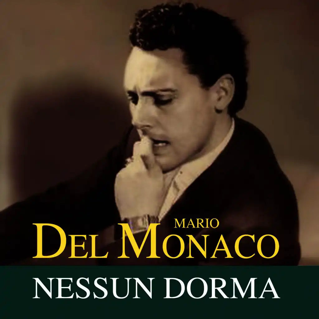 Nessun dorma