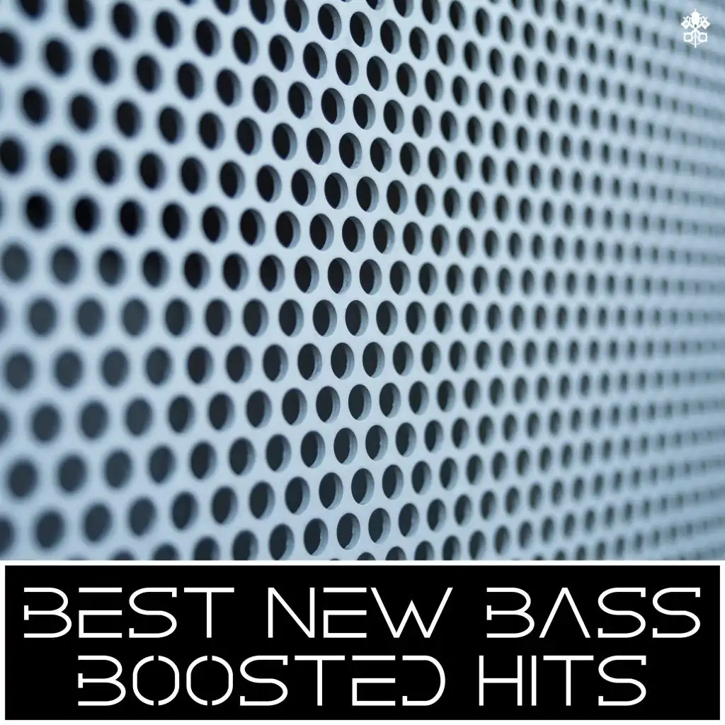 Best New Bass Boosted Hits