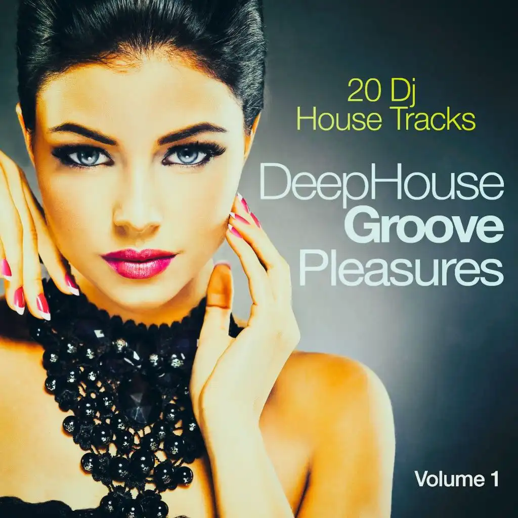House Groove Pleasures, Vol. 1 (20 DJ House Tracks)