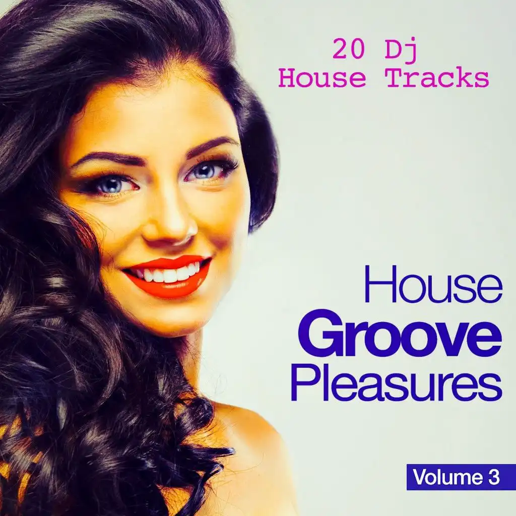 House Groove Pleasures, Vol. 3 (20 DJ House Tracks)