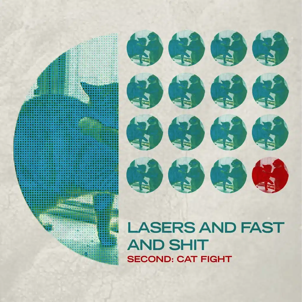 Second: Cat Fight