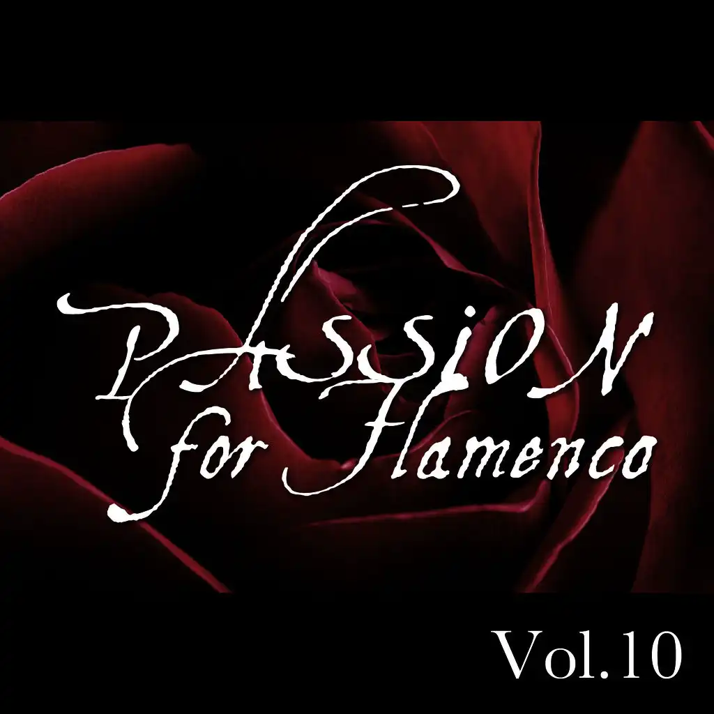 Passion for Flamenco Vol. 10