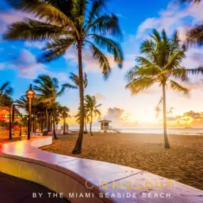 Chillout by the Miami Seaside Beach: 2019 Top Electronic Chill Out Music Perfect for Summer Time Holiday, Deep Relaxation Beats & Sweet Ambient Melodies, Tropical Vacation Background Anthems