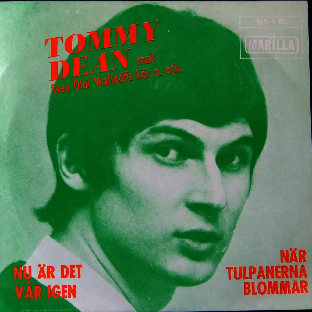 När tulpanerna blommar