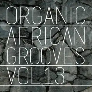 Organic African Grooves, Vol.13