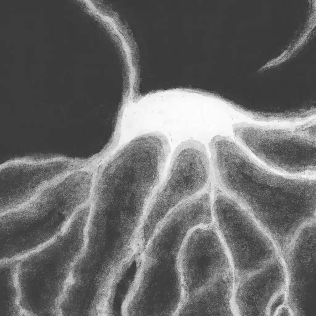 Midnight Sun (feat. Pavel)