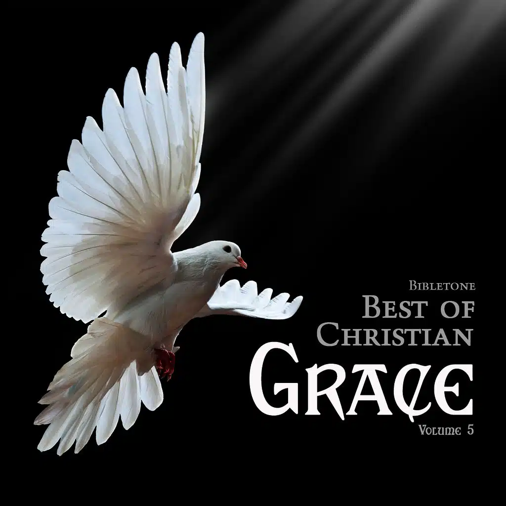 Bibletone: Best of Christian (Grace), Vol. 5
