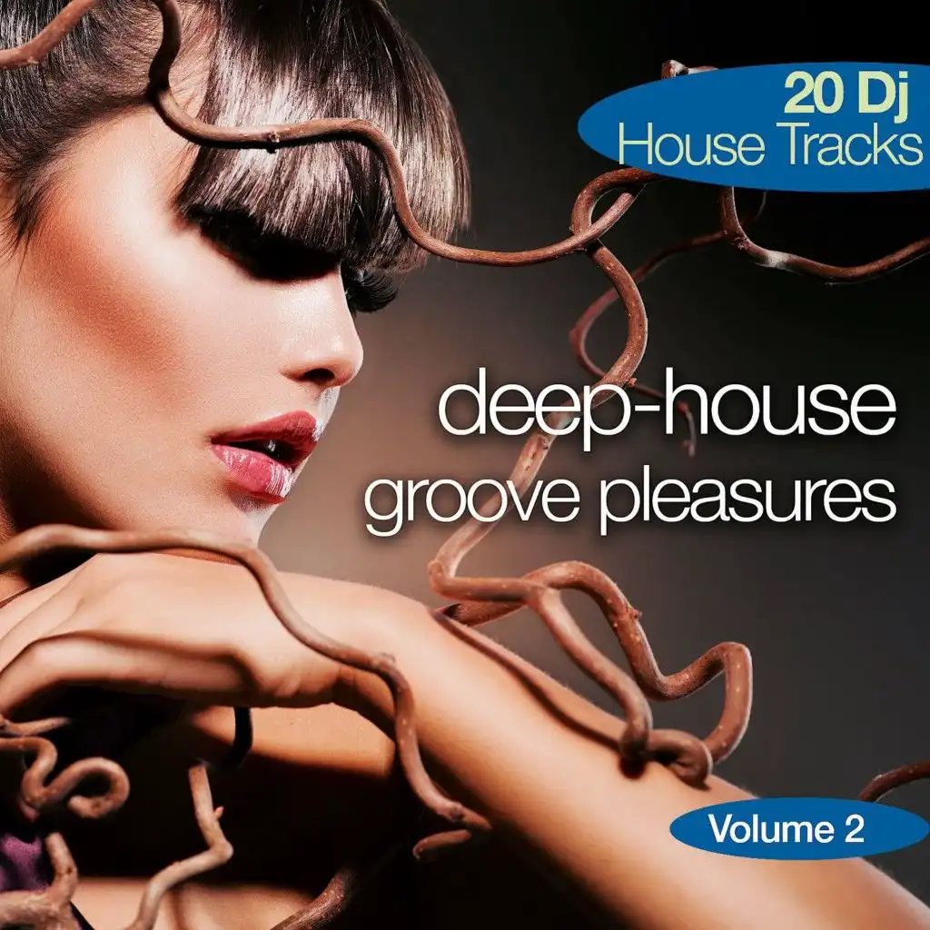 Deep-House Groove Pleasures, Vol. 2 (20 DJ House Tracks)