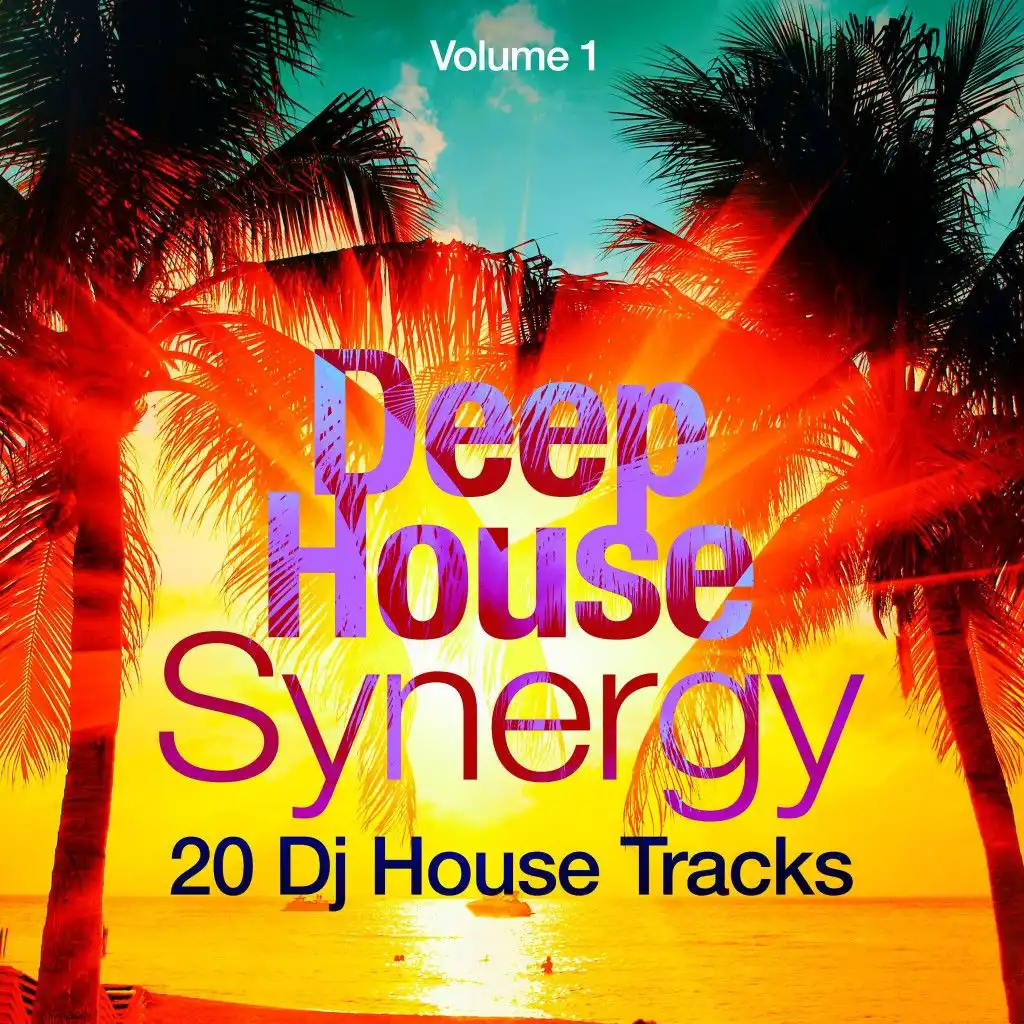 Deep-House Synergy, Vol. 1 (20 DJ House Tracks)