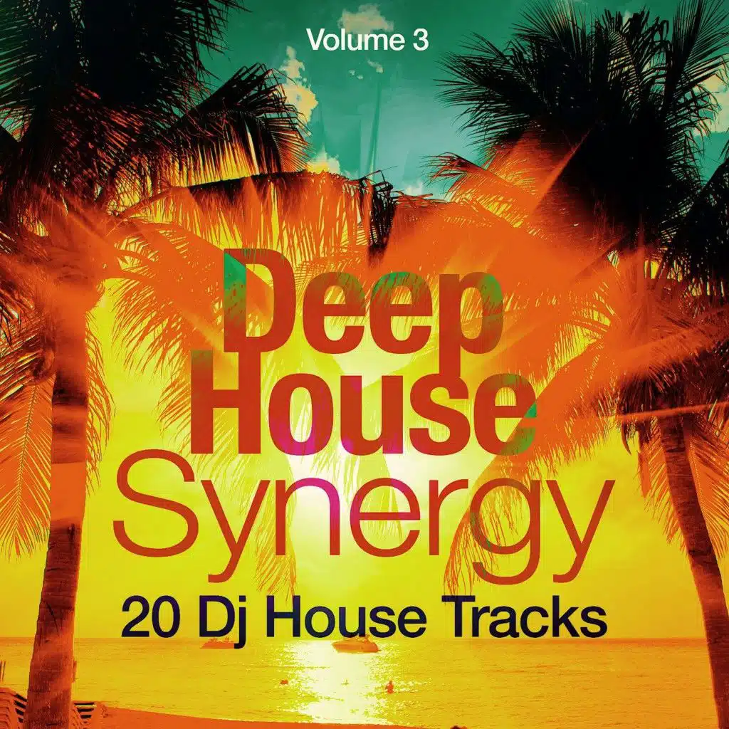 Deep-House Synergy, Vol. 3 (20 DJ House Tracks)