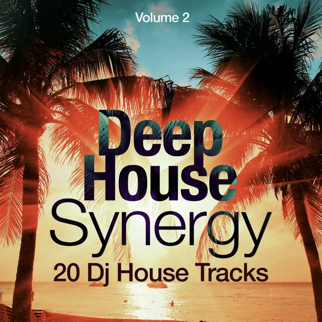 Deep-House Synergy, Vol. 2 (20 DJ House Tracks)
