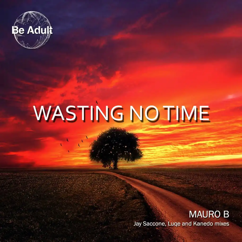 Wasting No Time (Jay Saccone Remix)