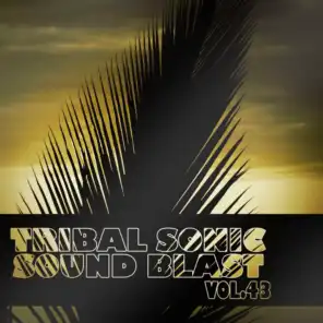 Tribal Sonic Soundblast,Vol.43