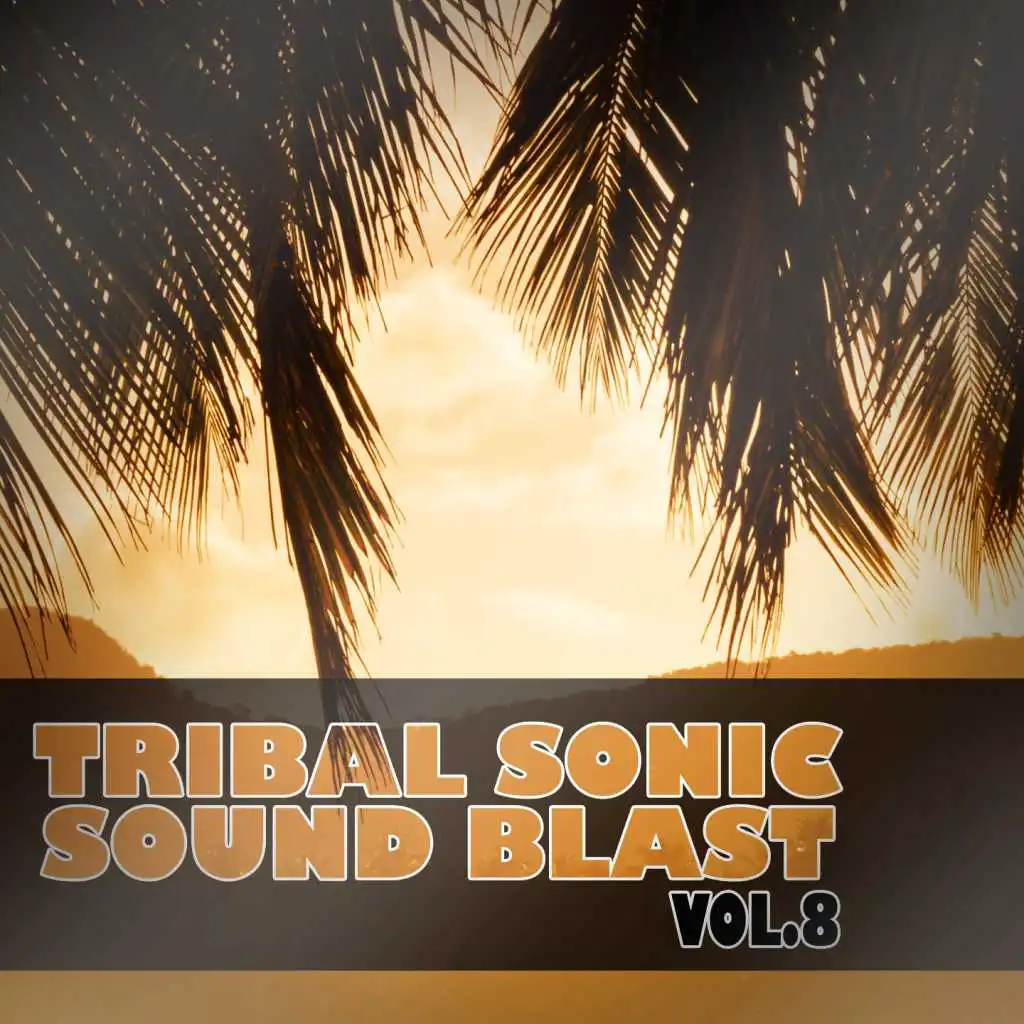 Tribal Sonic Soundblast,Vol.8