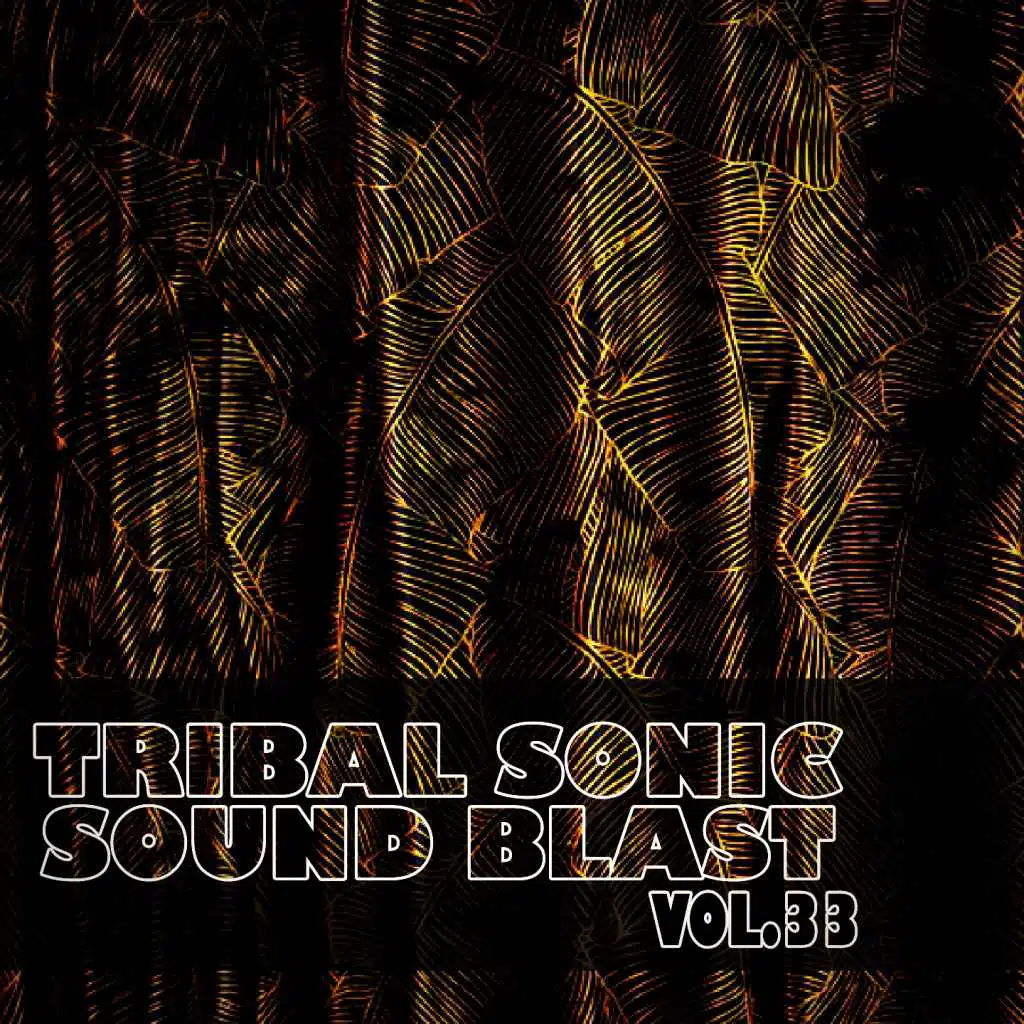 Tribal Sonic Soundblast,Vol.33