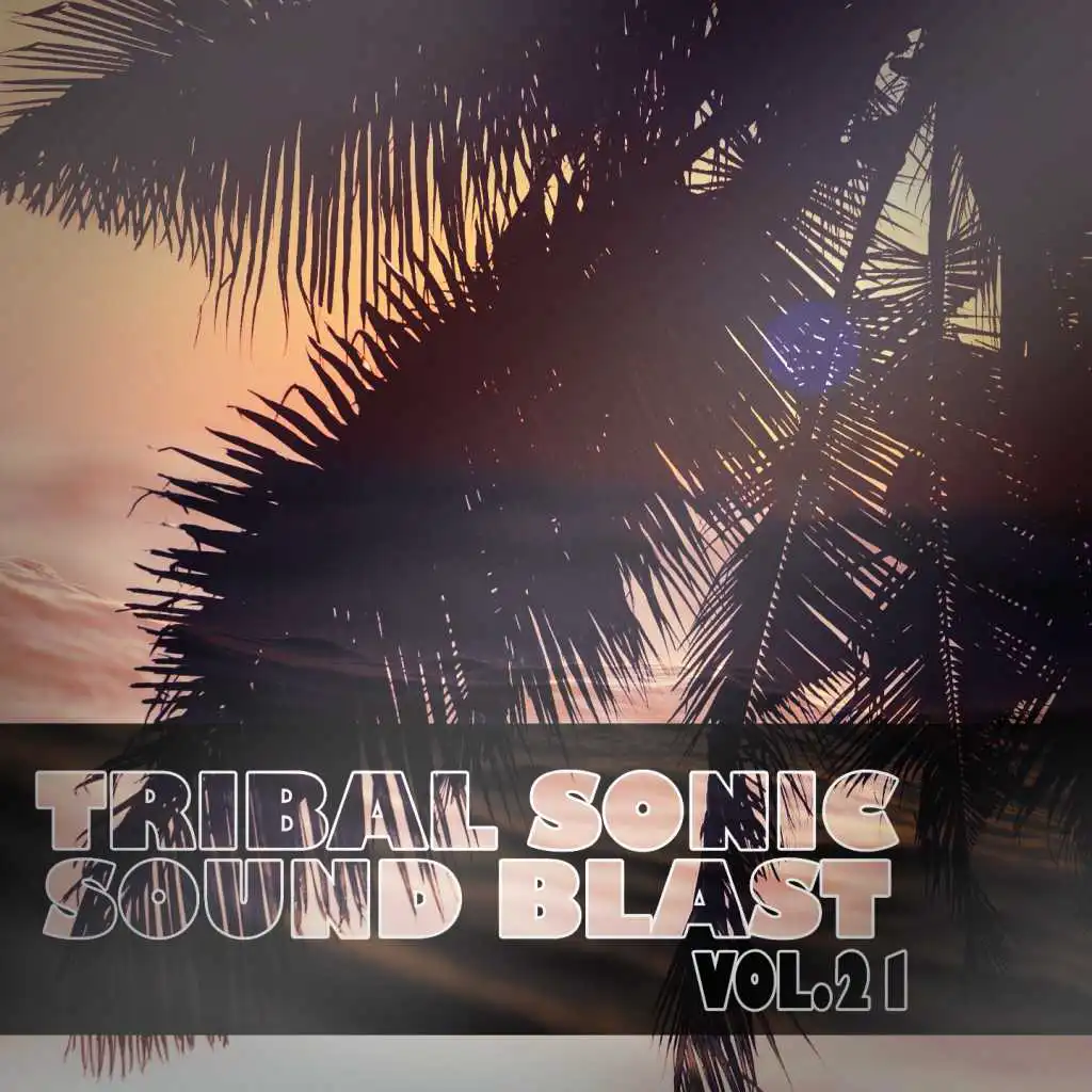 Tribal Sonic Soundblast,Vol.21