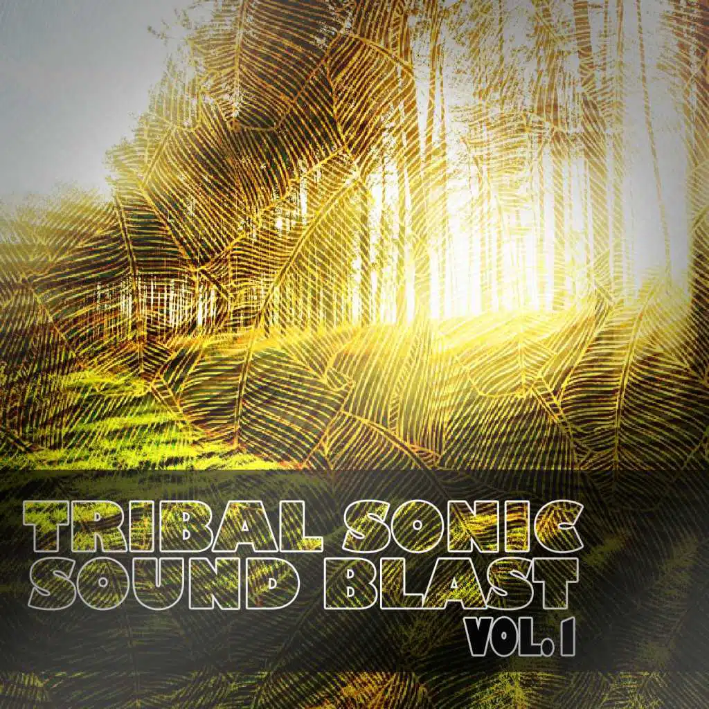 Tribal Sonic Soundblast, Vol. 1
