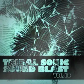 Tribal Sonic Soundblast,Vol.18