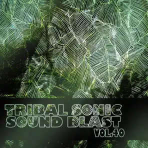Tribal Sonic Soundblast,Vol.40
