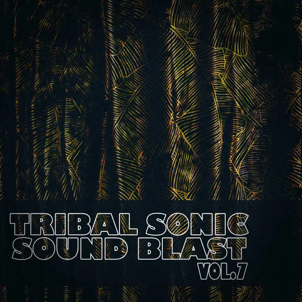 Tribal Sonic Soundblast,Vol.7