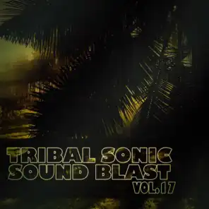 Tribal Sonic Soundblast,Vol.17