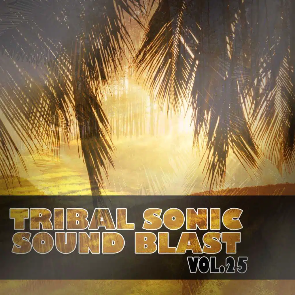 Tribal Sonic Soundblast,Vol.25