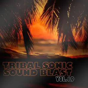 Tribal Sonic Soundblast,Vol.19