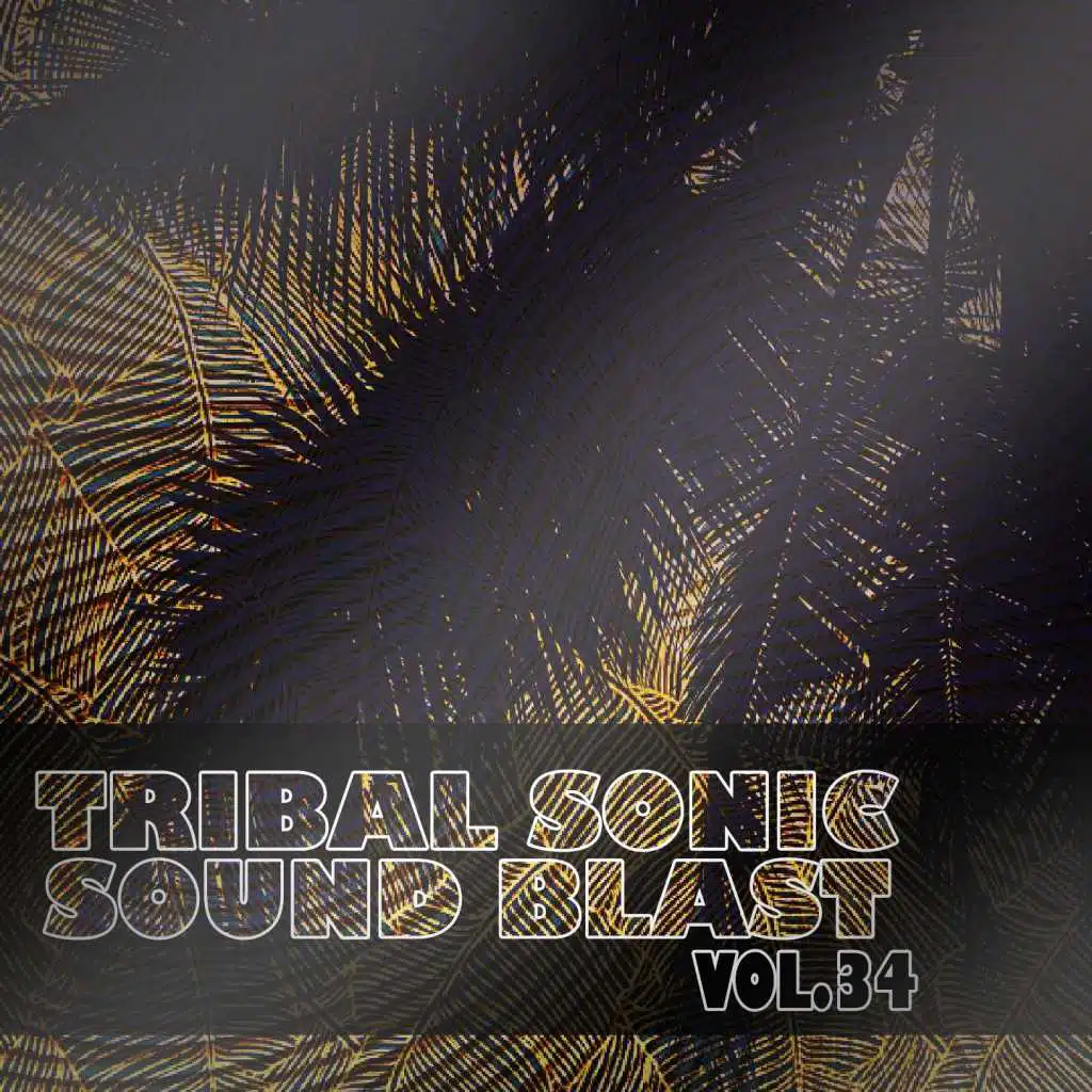 Tribal Sonic Soundblast,Vol.34