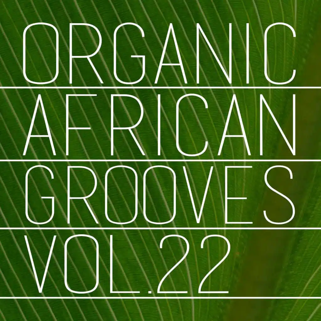 Organic African Grooves, Vol.22