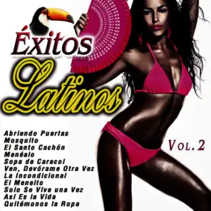 Éxitos Latinos Vol. 2
