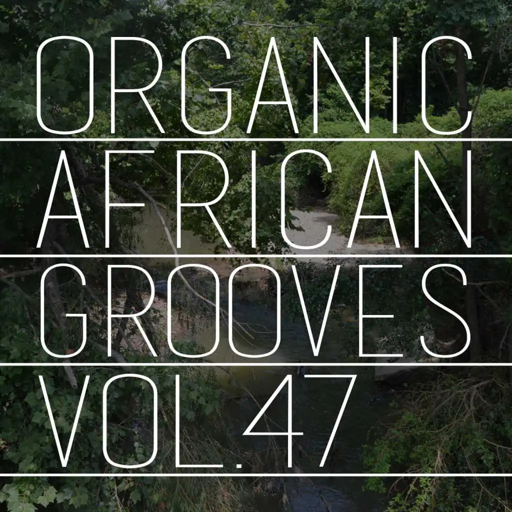 Organic African Grooves, Vol.47