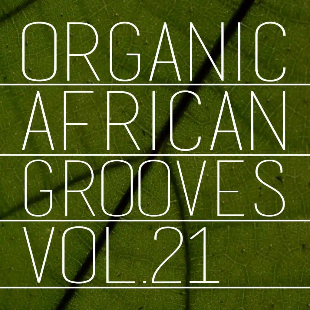 Organic African Grooves, Vol.21