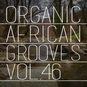 Organic African Grooves, Vol.46