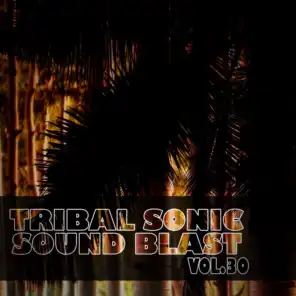 Tribal Sonic Soundblast,Vol.30