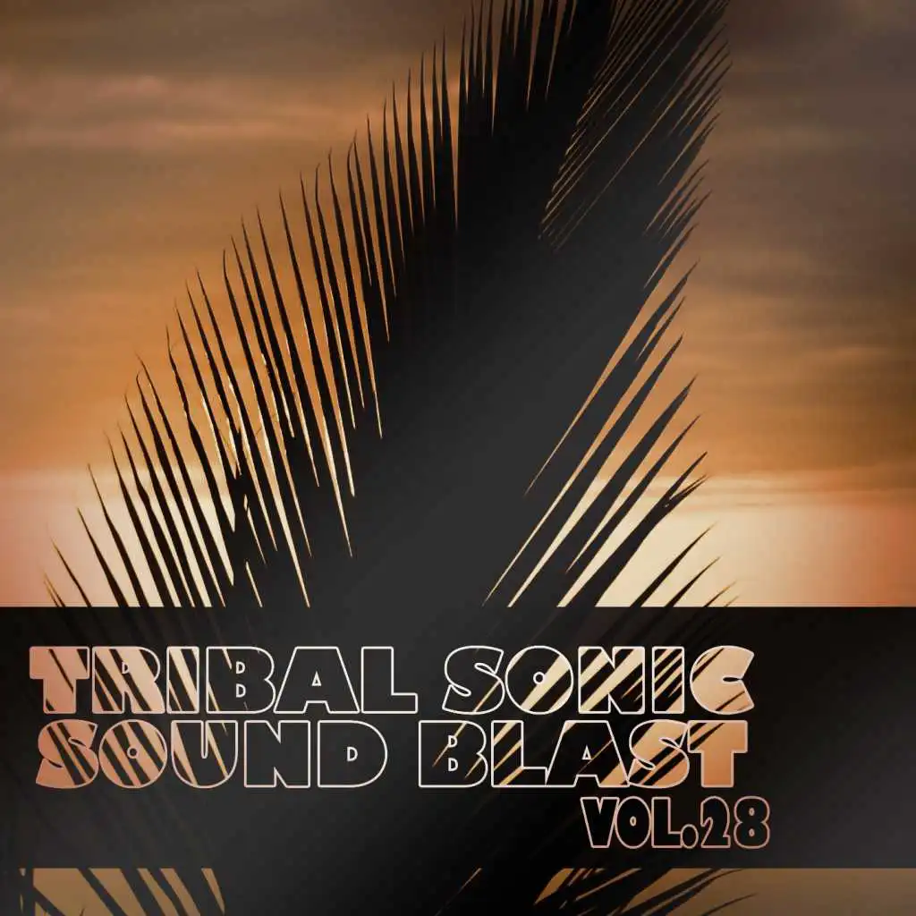 Tribal Sonic Soundblast,Vol.28