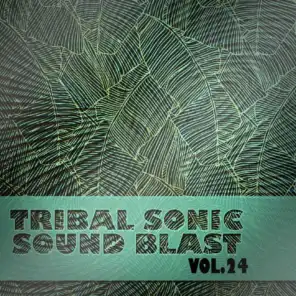 Tribal Sonic Soundblast,Vol.24