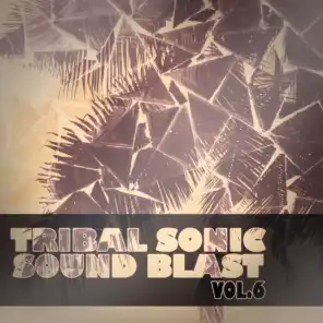 Tribal Sonic Soundblast,Vol.6