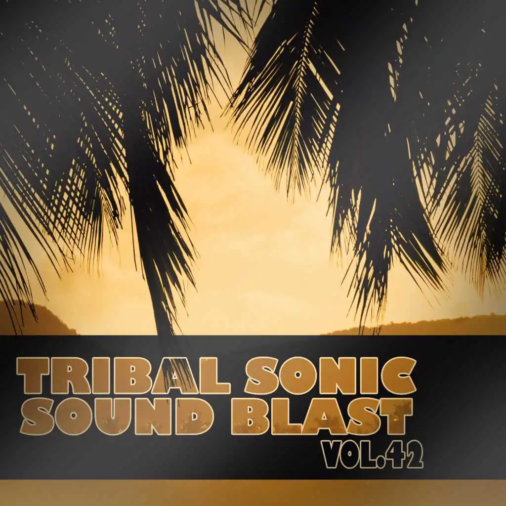 Tribal Sonic Soundblast,Vol.42