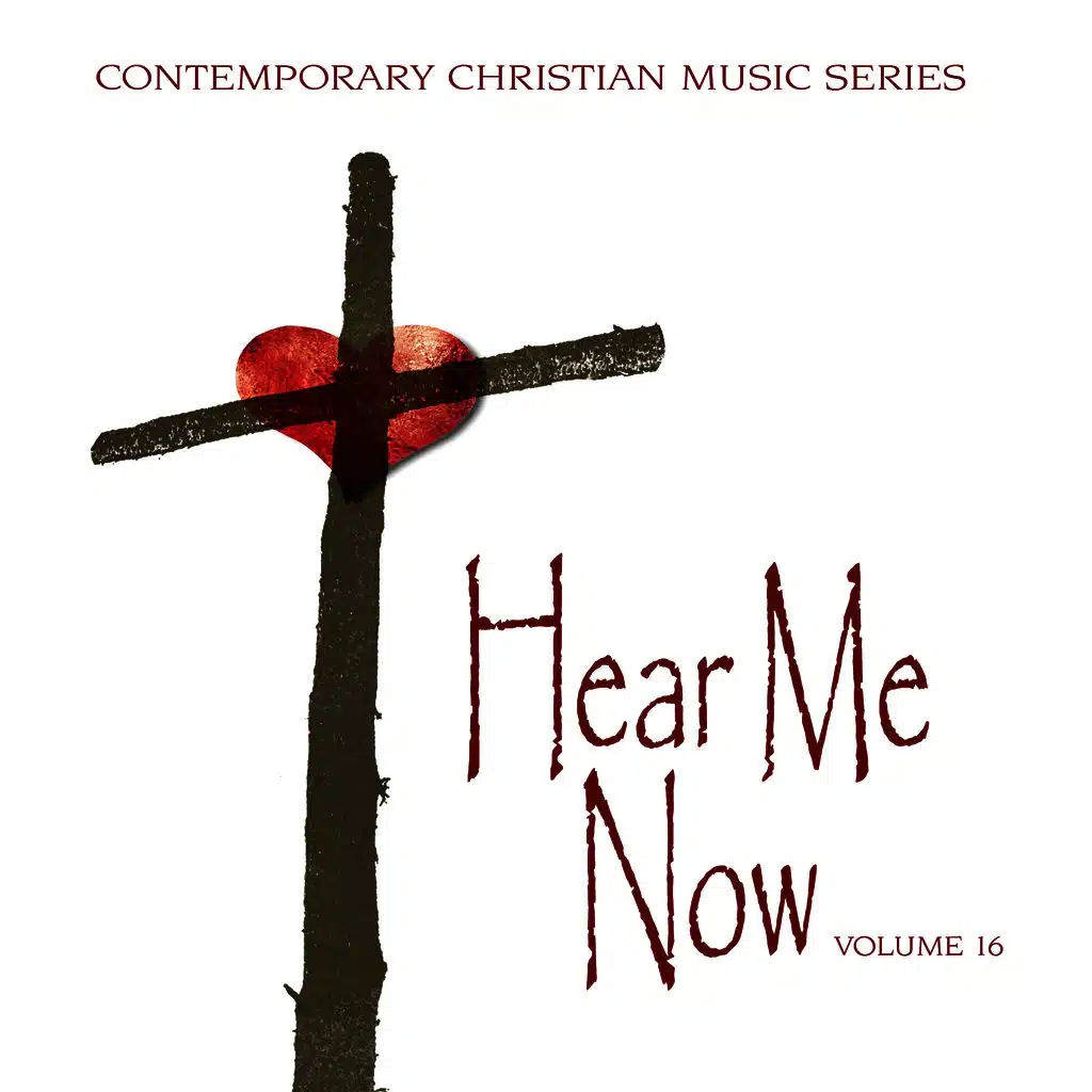 Contemporary Christian Music Series: Hear Me Now, Vol. 16
