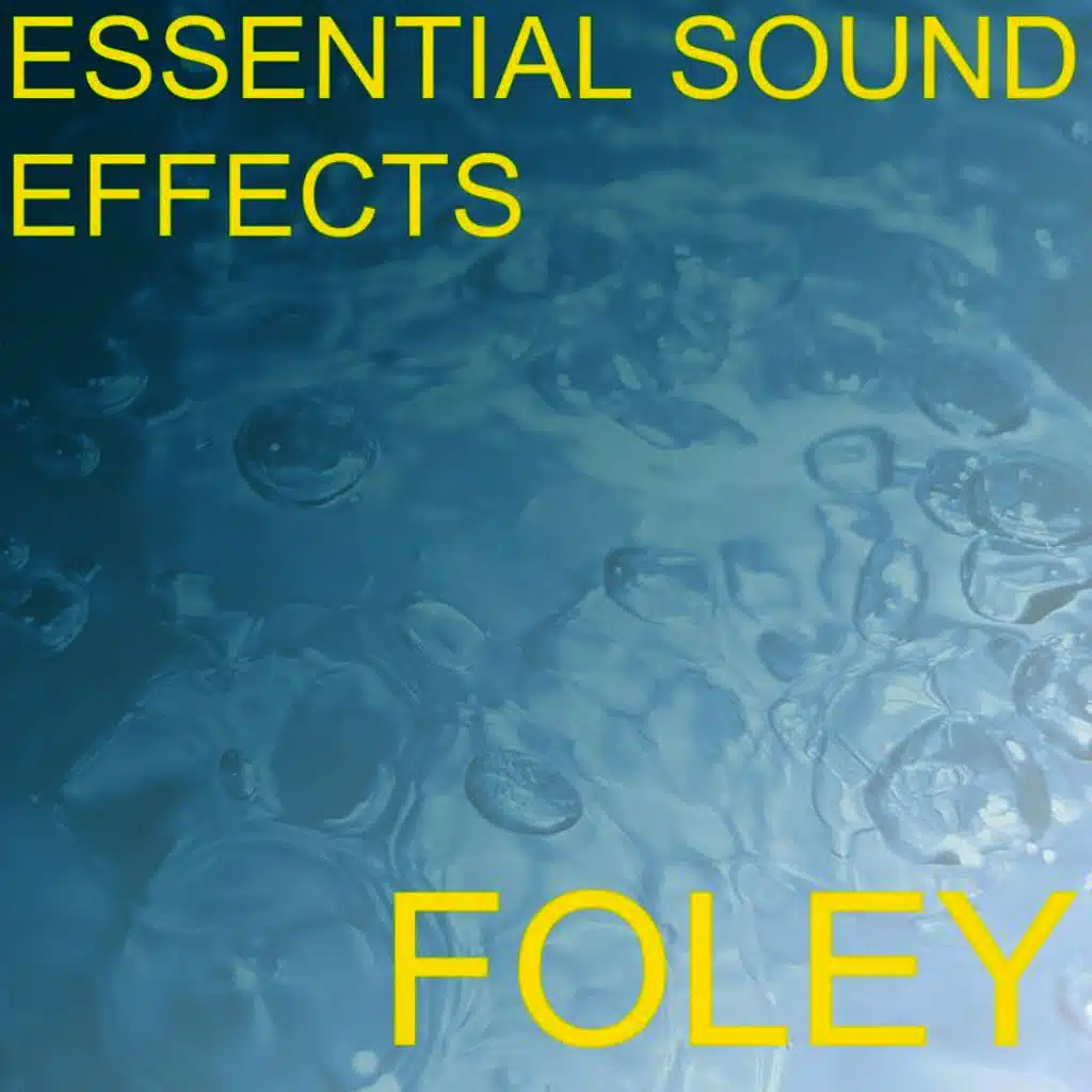 Essential Sound Effects 3 - Foley