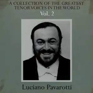 A Collection of the Greatest Tenor Voices in the World, Vol. 2