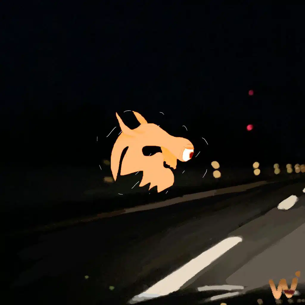 Careful! / Out There