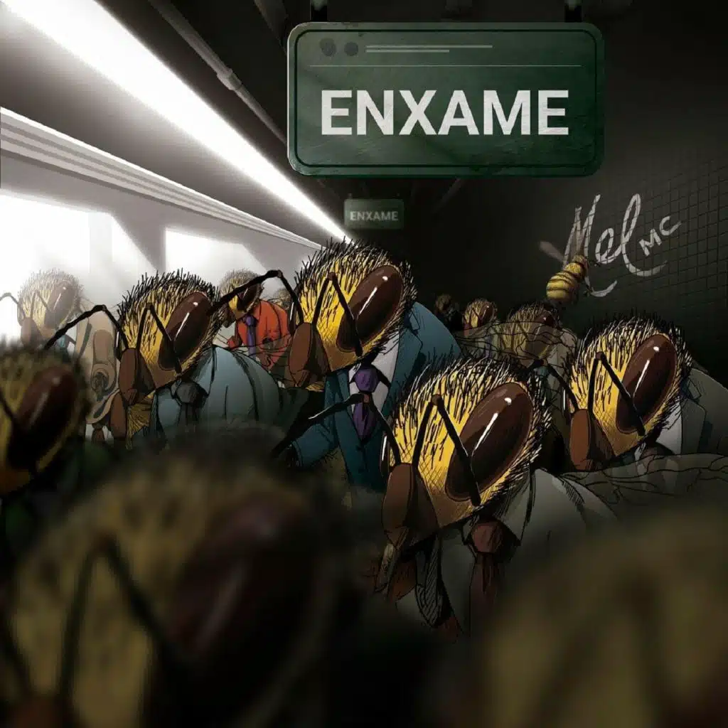 Enxame
