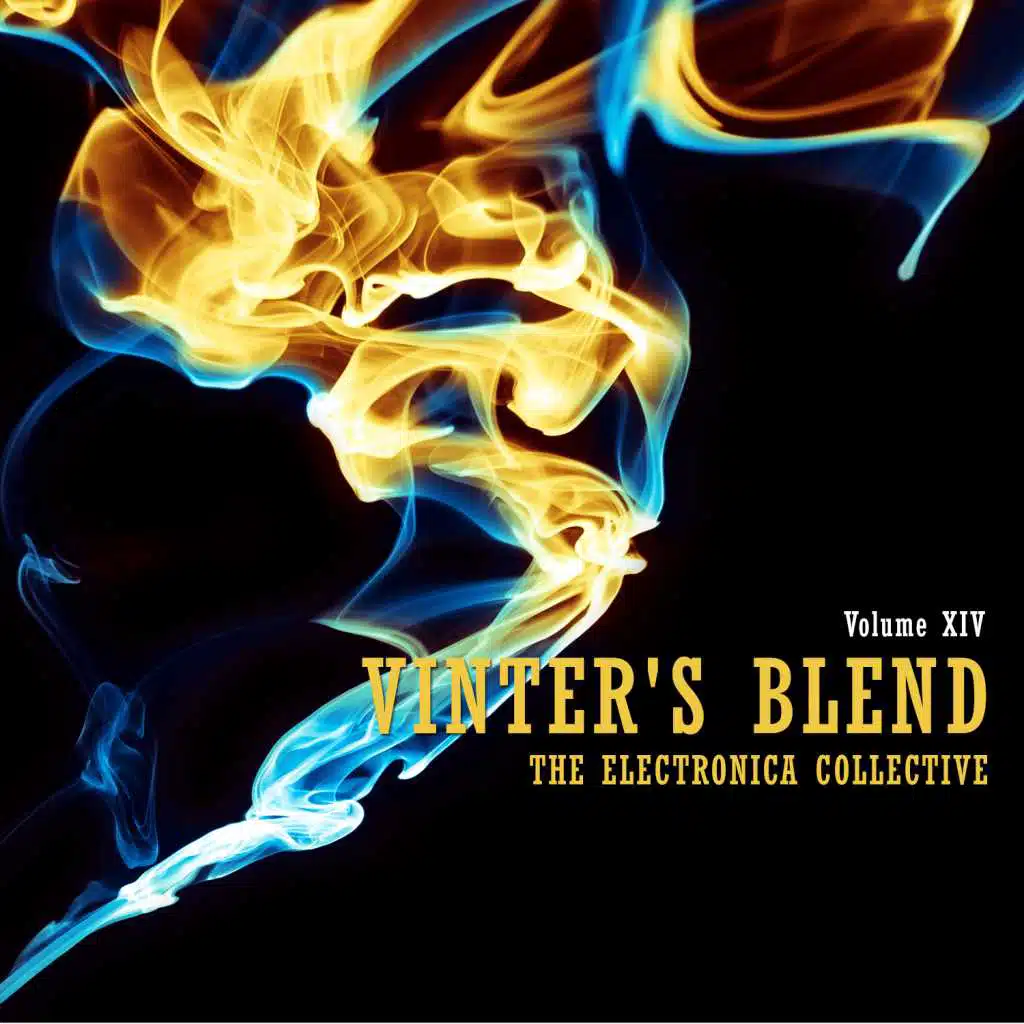 Vinter's Blend: The Electronica Collective, Vol. 14