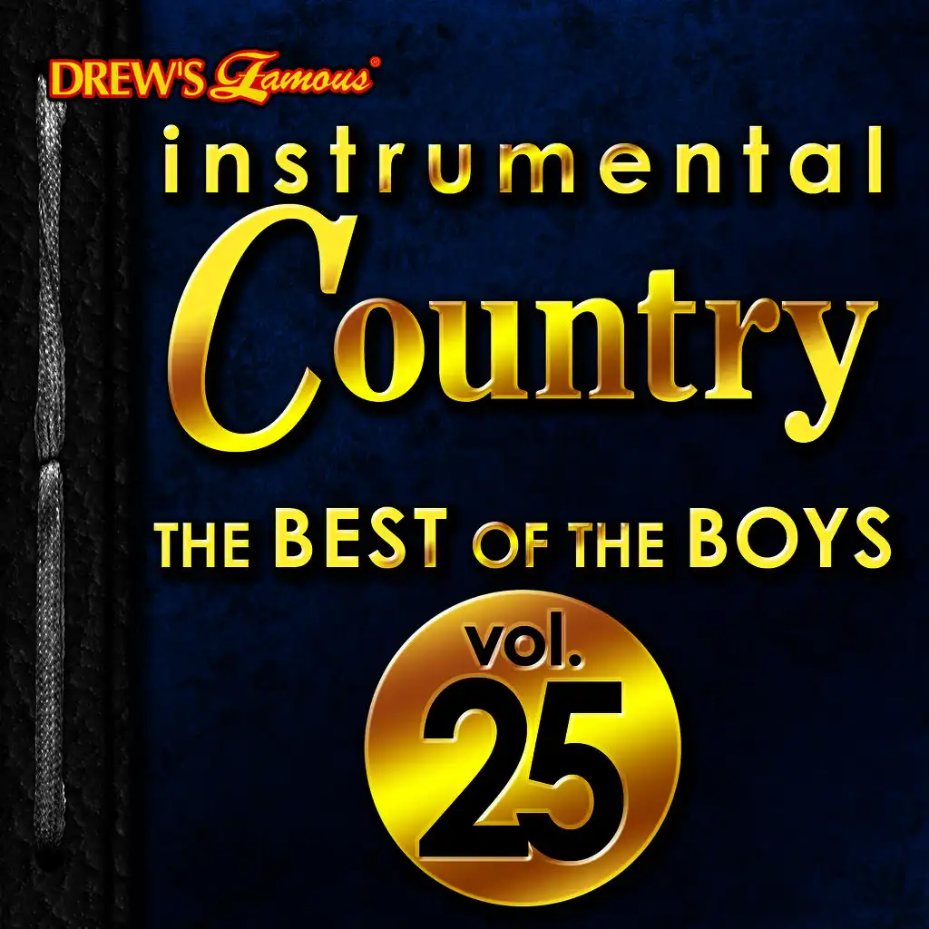 Instrumental Country: The Best of the Boys, Vol. 25