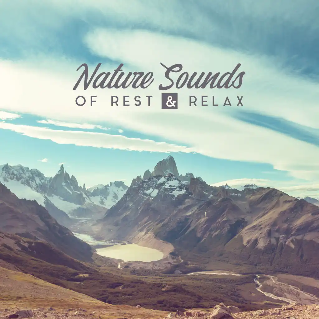 Nature Sounds