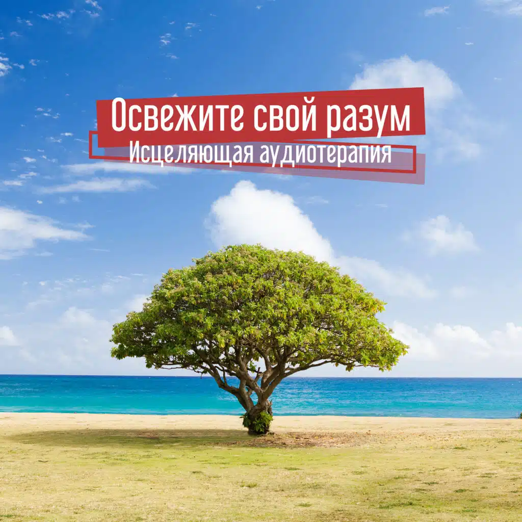 Освежите свой разум: Исцеляющая аудиотерапия - Мгновенное расслабление, Техники осознанности, Снятие стресса, Успокаивающая музыка сна