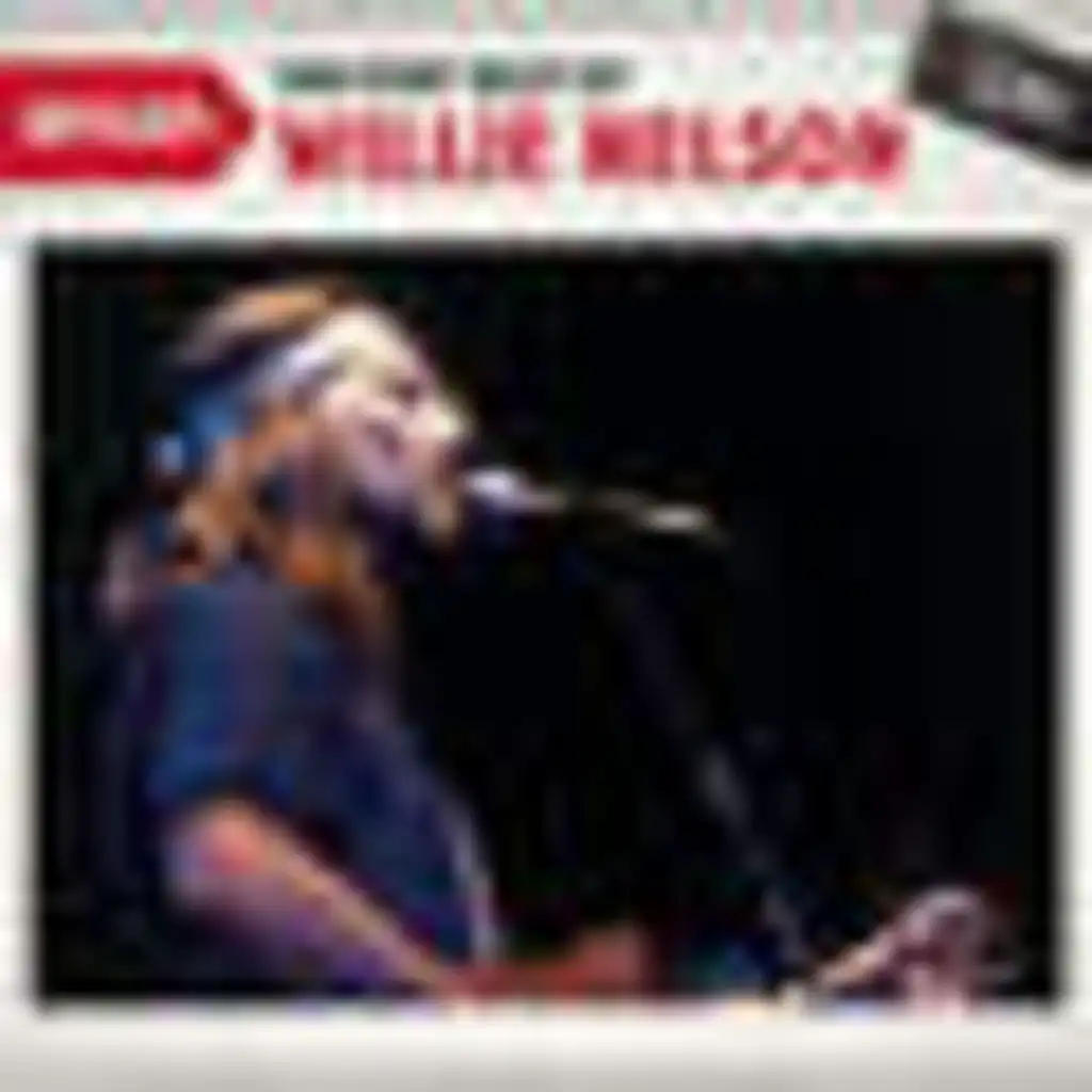Setlist: The Very Best Of Willie Nelson LIVE (2010)
