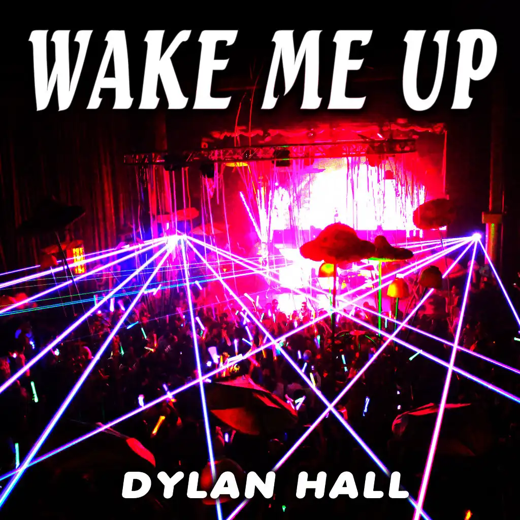 Wake Me Up