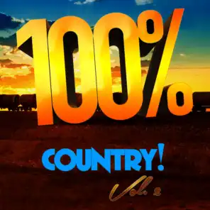 100% Country, Vol. 2